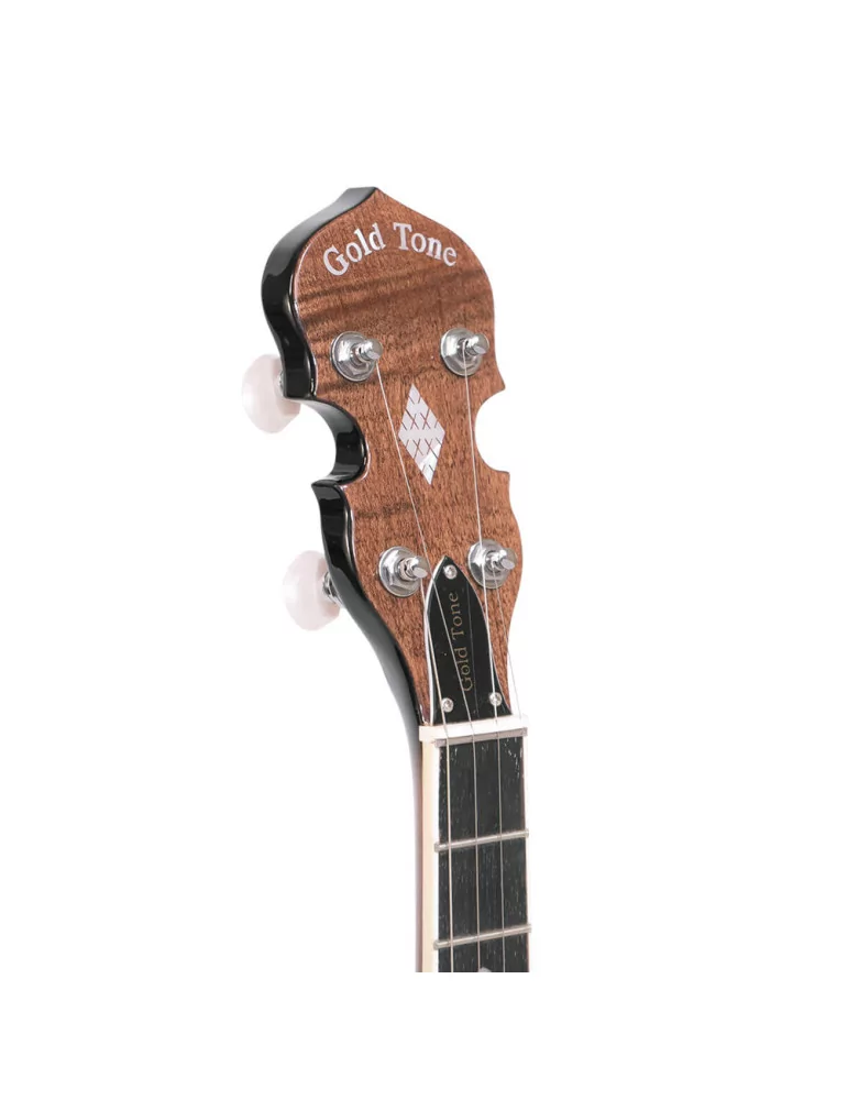 GOLD TONE BG-MINI | MusicGoodDeal