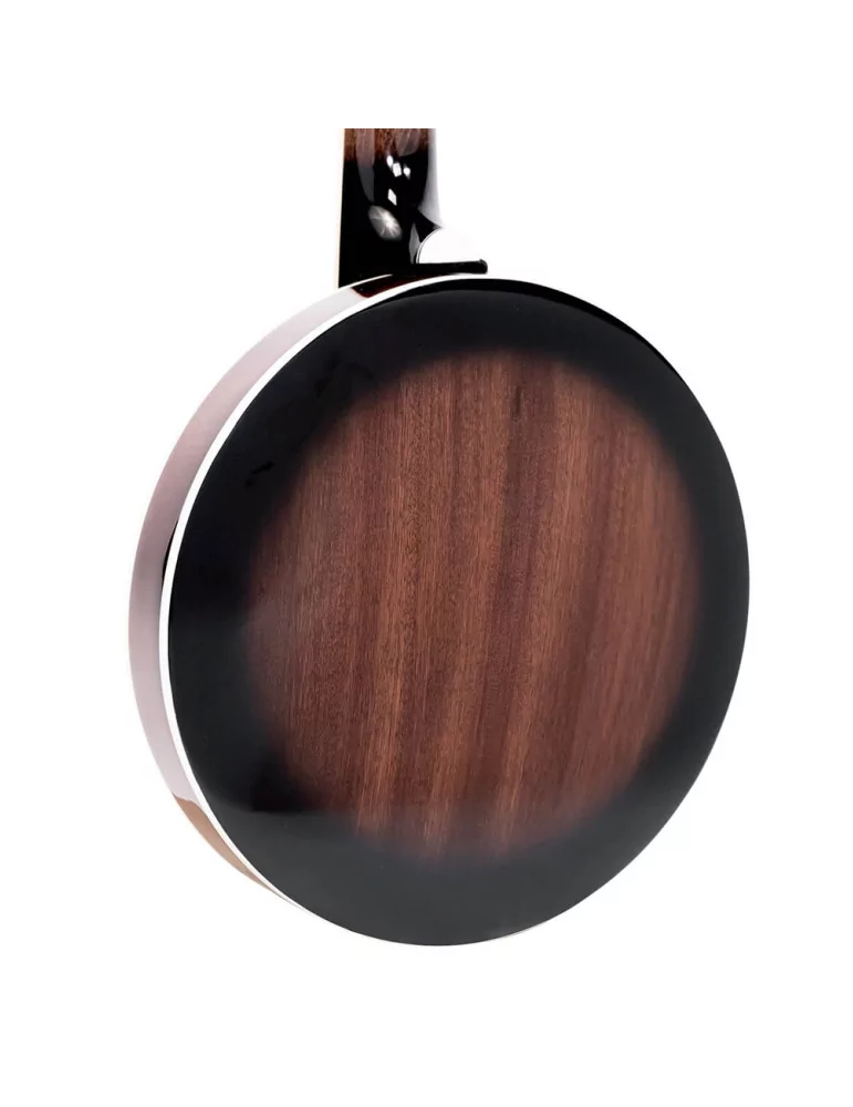 GOLD TONE BG-MINI | MusicGoodDeal