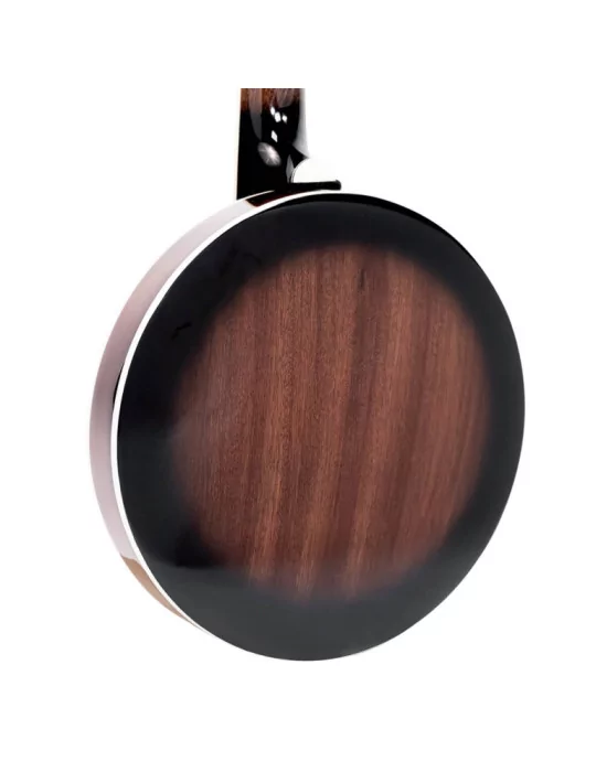 GOLD TONE BG-MINI | MusicGoodDeal