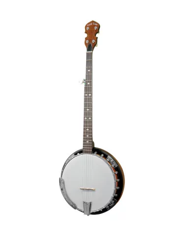 GOLD TONE CC-100R L | MusicGoodDeal