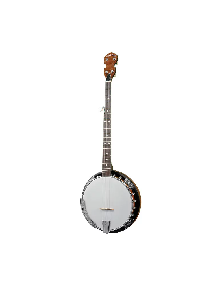 GOLD TONE CC-100R L | MusicGoodDeal