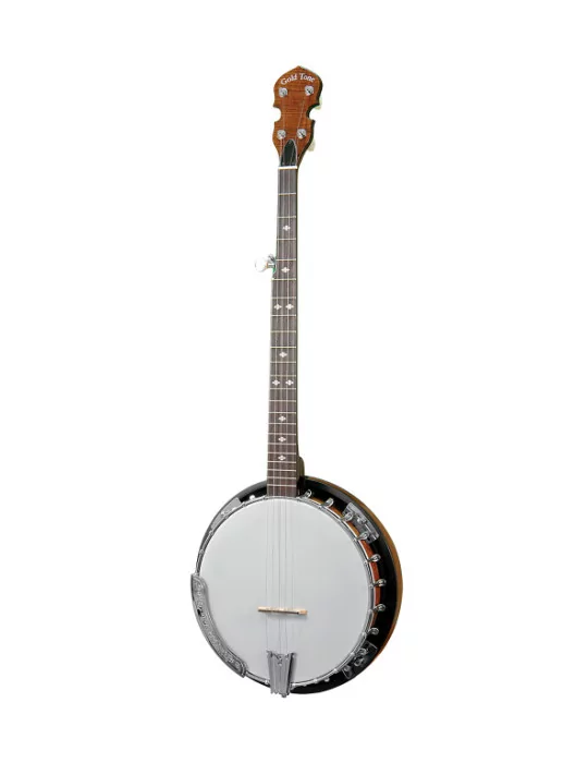 GOLD TONE CC-100R L | MusicGoodDeal