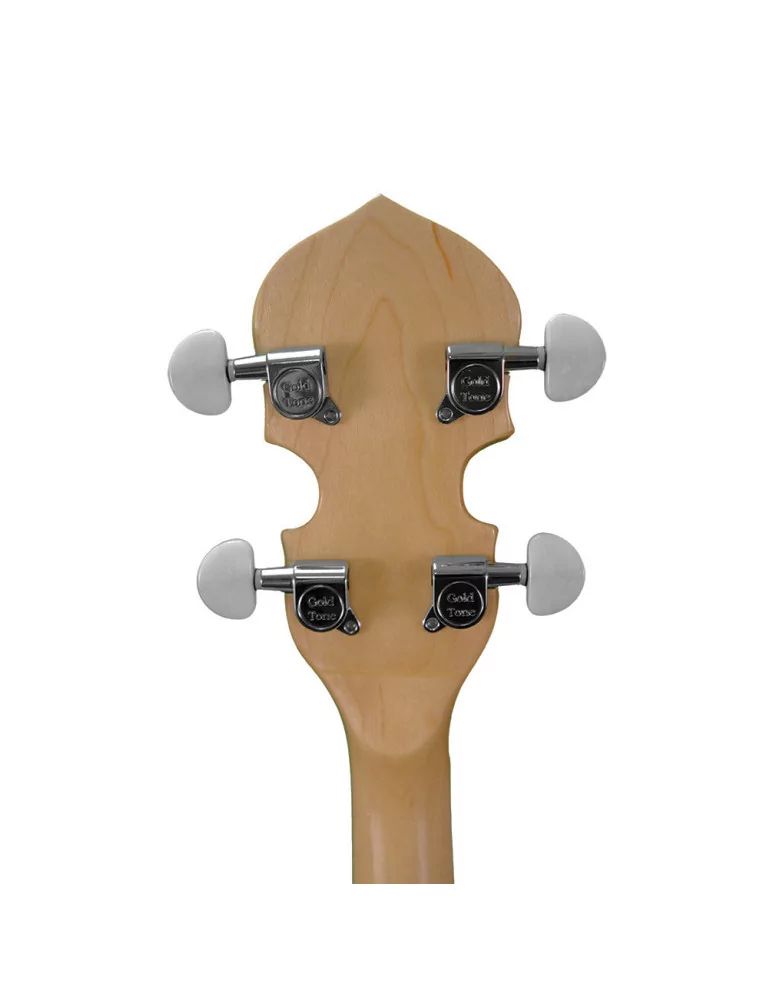 GOLD TONE CC-100R L | MusicGoodDeal