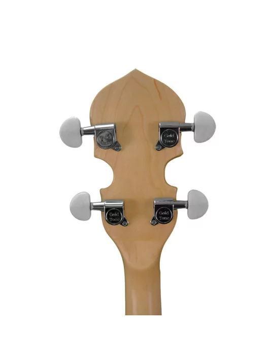 GOLD TONE CC-100R L | MusicGoodDeal