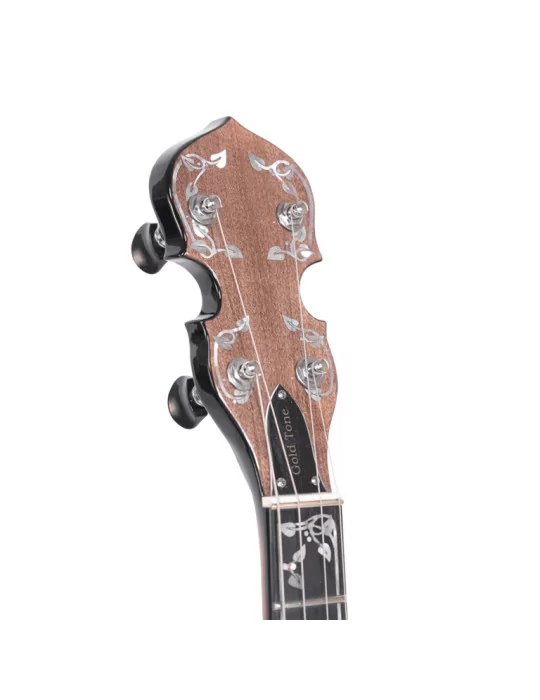 GOLD TONE ML-1 | MusicGoodDeal