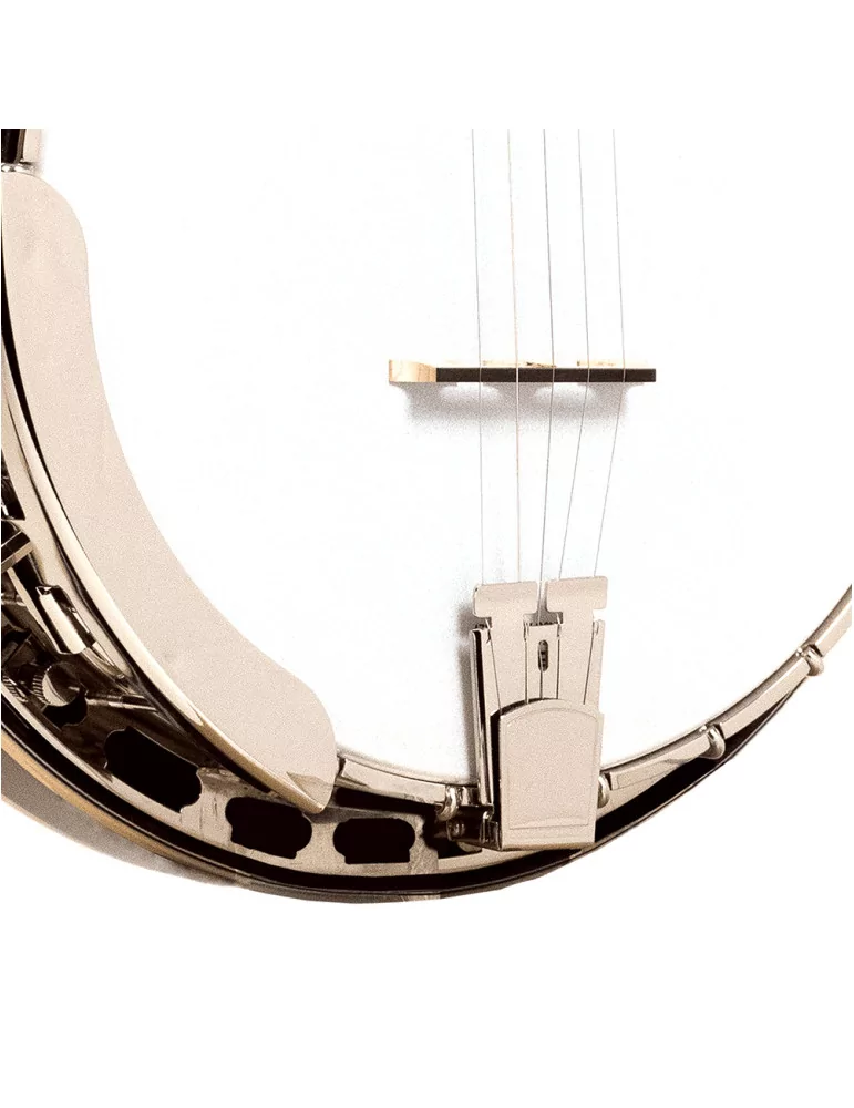 GOLD TONE OB-2 | MusicGoodDeal