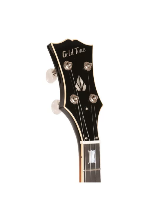 GOLD TONE OB-2 | MusicGoodDeal