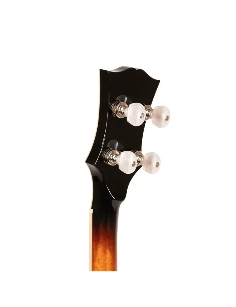 GOLD TONE OB-2 | MusicGoodDeal