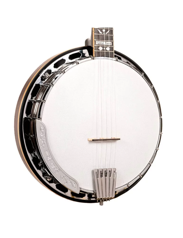 GOLD TONE OB-250LW | MusicGoodDeal