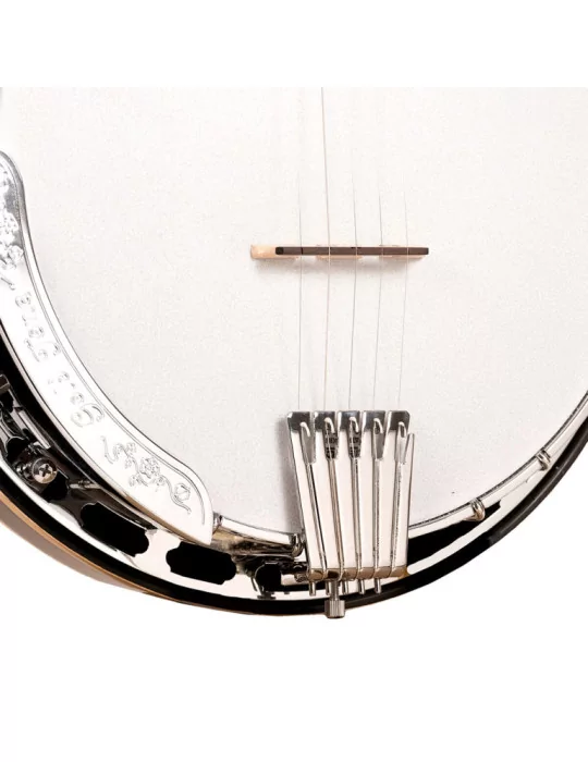 GOLD TONE OB-250LW | MusicGoodDeal