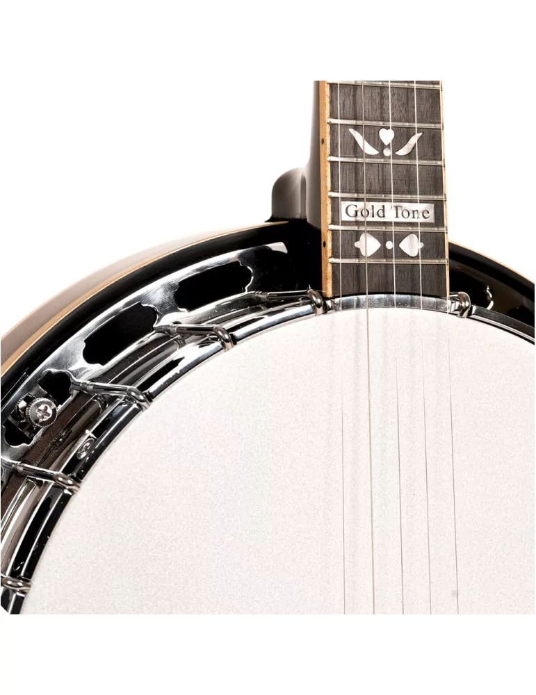 GOLD TONE OB-250LW | MusicGoodDeal