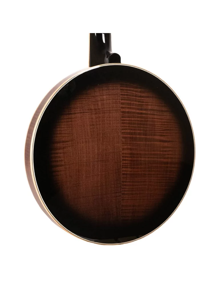 GOLD TONE OB-250LW | MusicGoodDeal