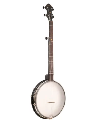 GOLD TONE AC-12 | MusicGoodDeal