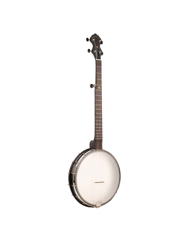 GOLD TONE AC-12 | MusicGoodDeal