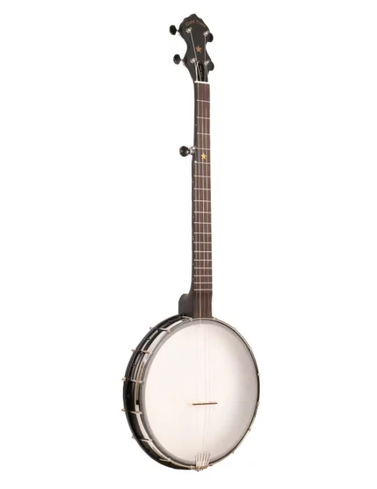 GOLD TONE AC-12 | MusicGoodDeal