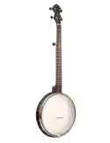 GOLD TONE AC-12 | MusicGoodDeal