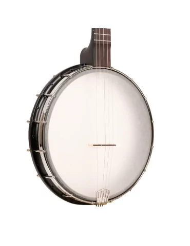 GOLD TONE AC-12 | MusicGoodDeal 2