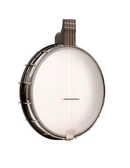 GOLD TONE AC-12 | MusicGoodDeal