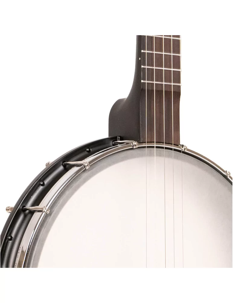 GOLD TONE AC-12 | MusicGoodDeal