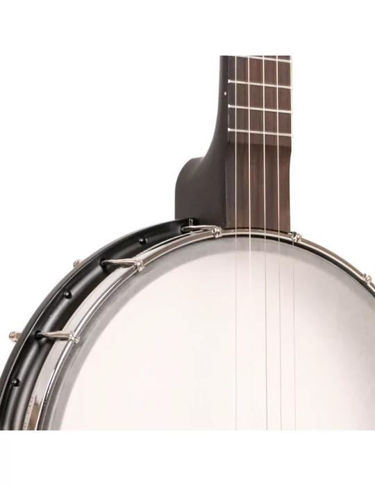 GOLD TONE AC-12 | MusicGoodDeal