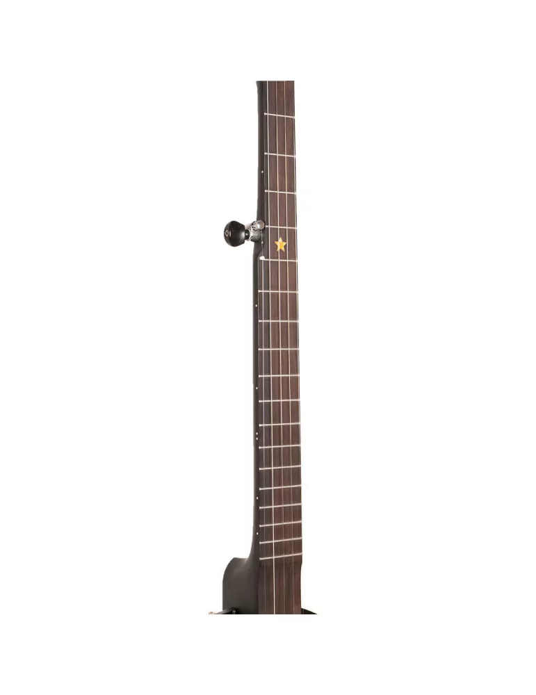GOLD TONE AC-12 | MusicGoodDeal