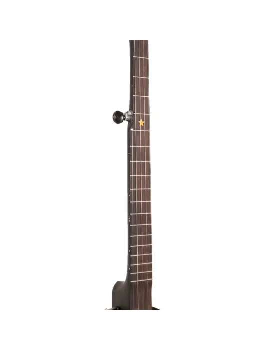 GOLD TONE AC-12 | MusicGoodDeal