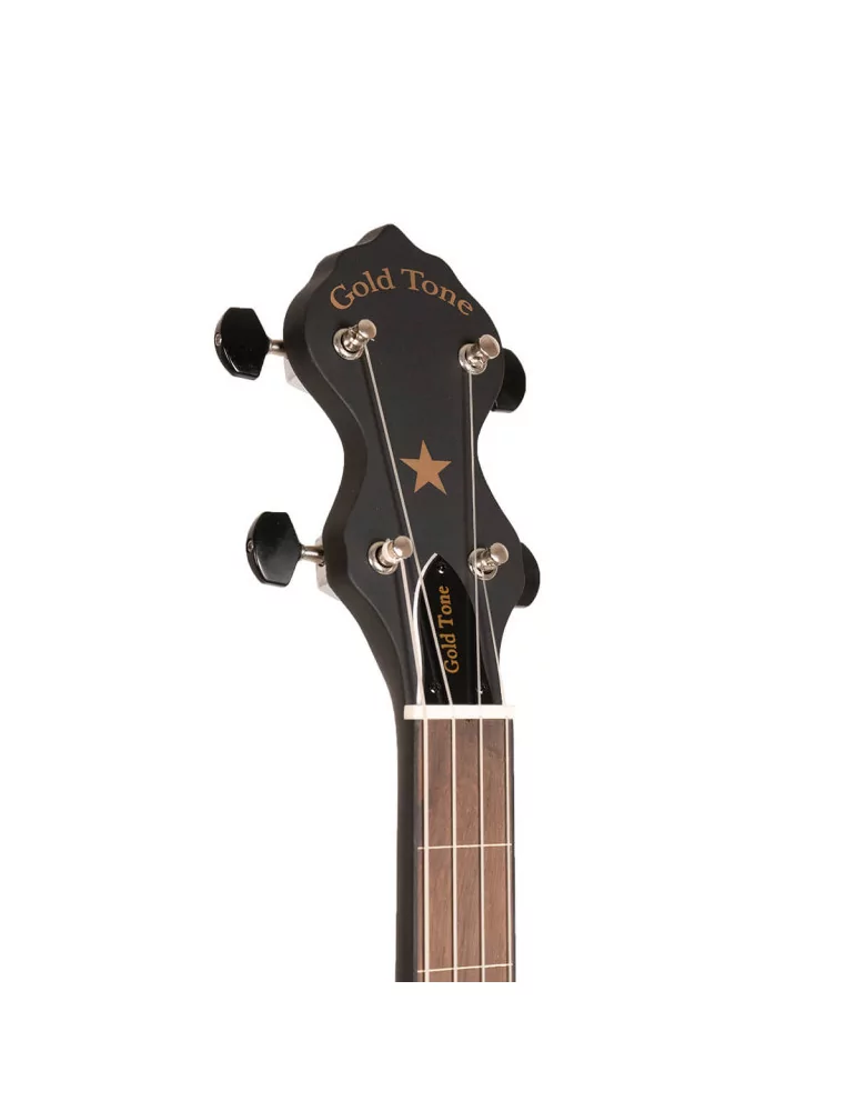 GOLD TONE AC-12 | MusicGoodDeal