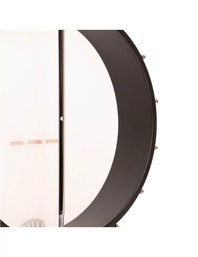 GOLD TONE AC-12 | MusicGoodDeal