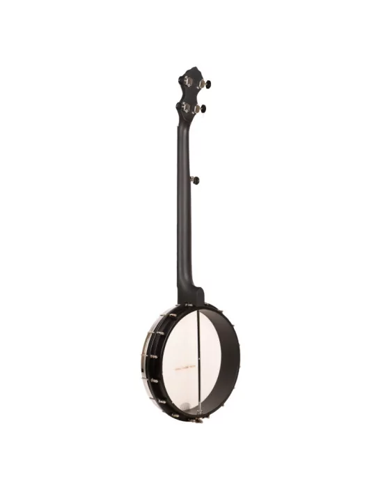GOLD TONE AC-12 | MusicGoodDeal