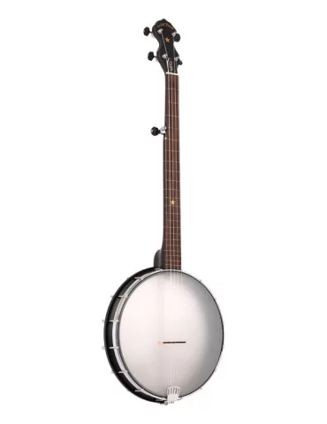 GOLD TONE AC-12 FL | MusicGoodDeal