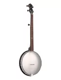 GOLD TONE AC-12 FL | MusicGoodDeal