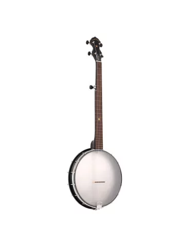 GOLD TONE AC-12 FL | MusicGoodDeal 2
