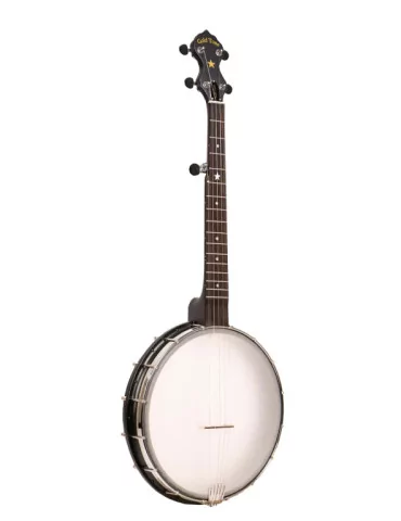 GOLD TONE AC-12A | MusicGoodDeal