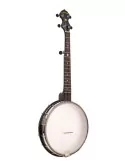 GOLD TONE AC-12A | MusicGoodDeal
