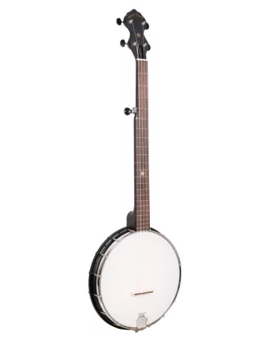 GOLD TONE AC-1FL | MusicGoodDeal