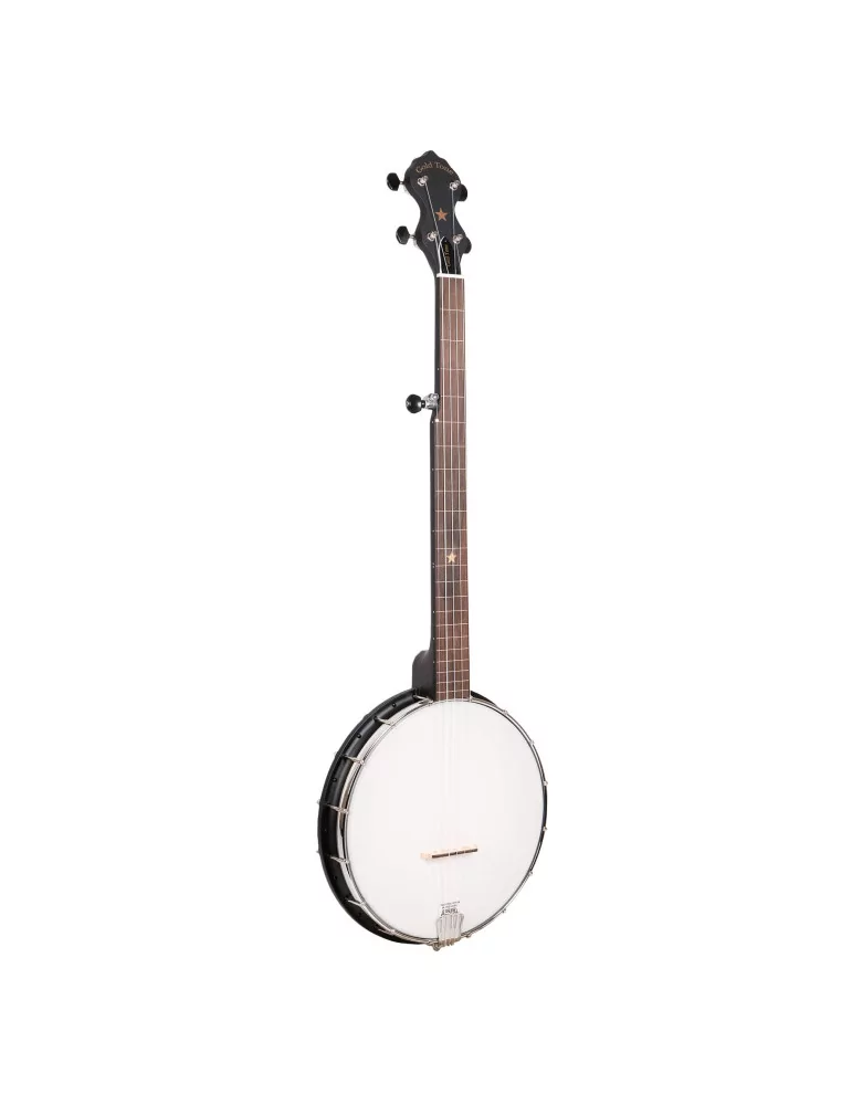 GOLD TONE AC-1FL | MusicGoodDeal