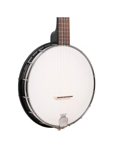 GOLD TONE AC-1FL | MusicGoodDeal 2