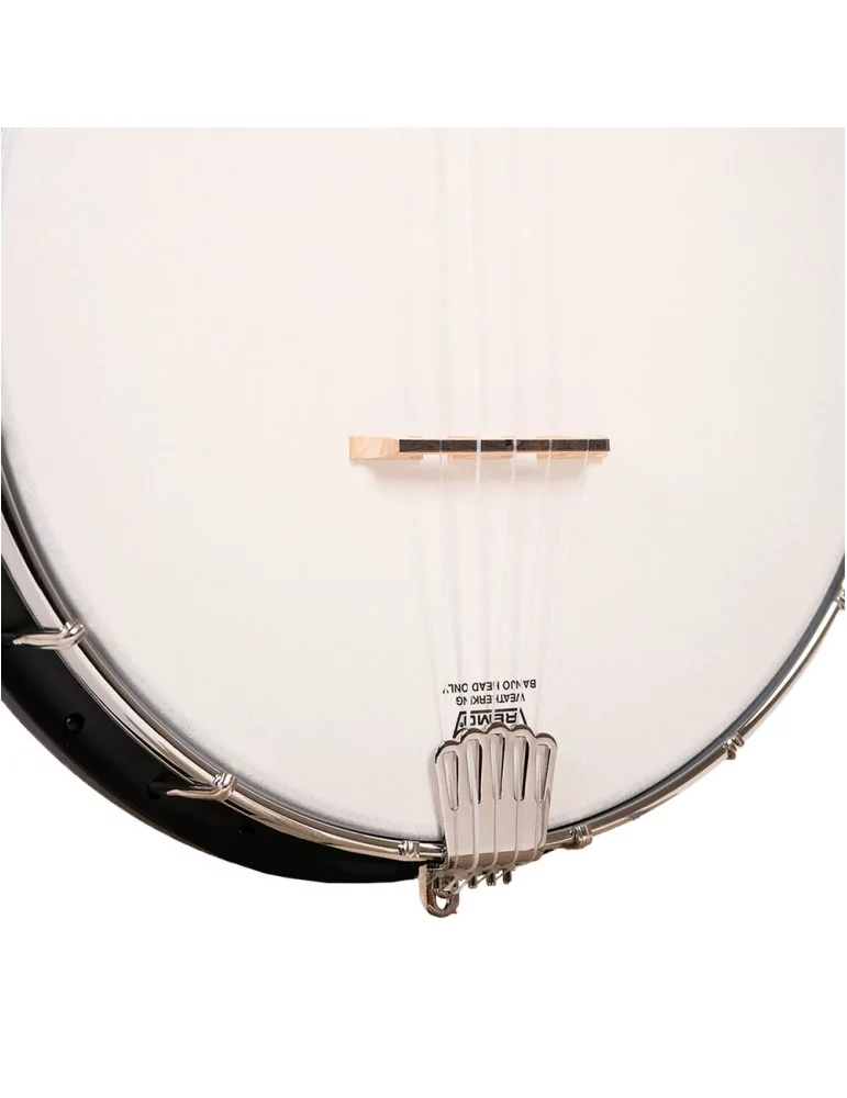 GOLD TONE AC-1FL | MusicGoodDeal