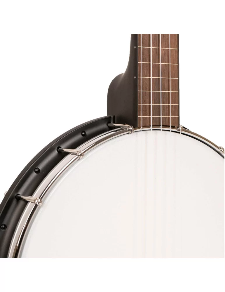 GOLD TONE AC-1FL | MusicGoodDeal