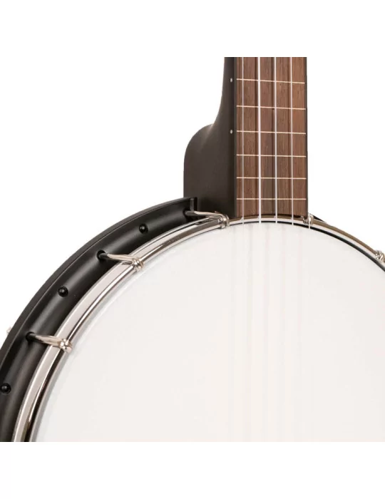 GOLD TONE AC-1FL | MusicGoodDeal