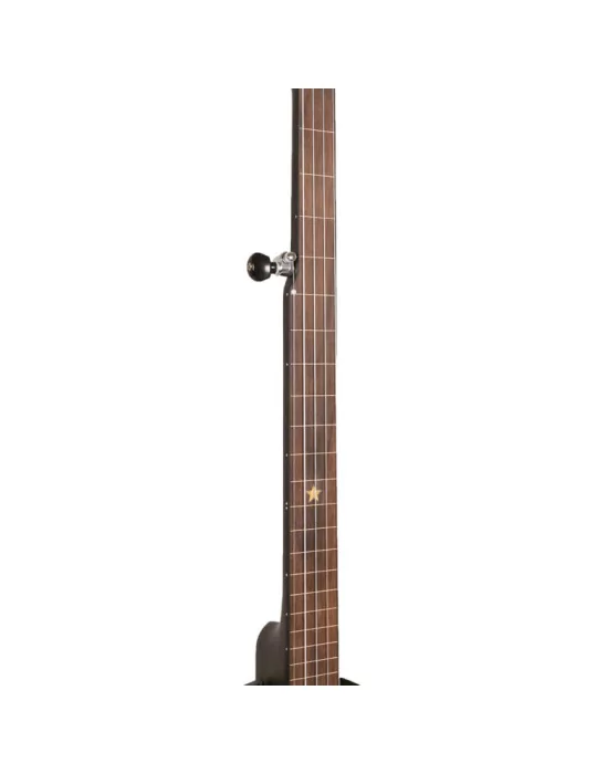 GOLD TONE AC-1FL | MusicGoodDeal