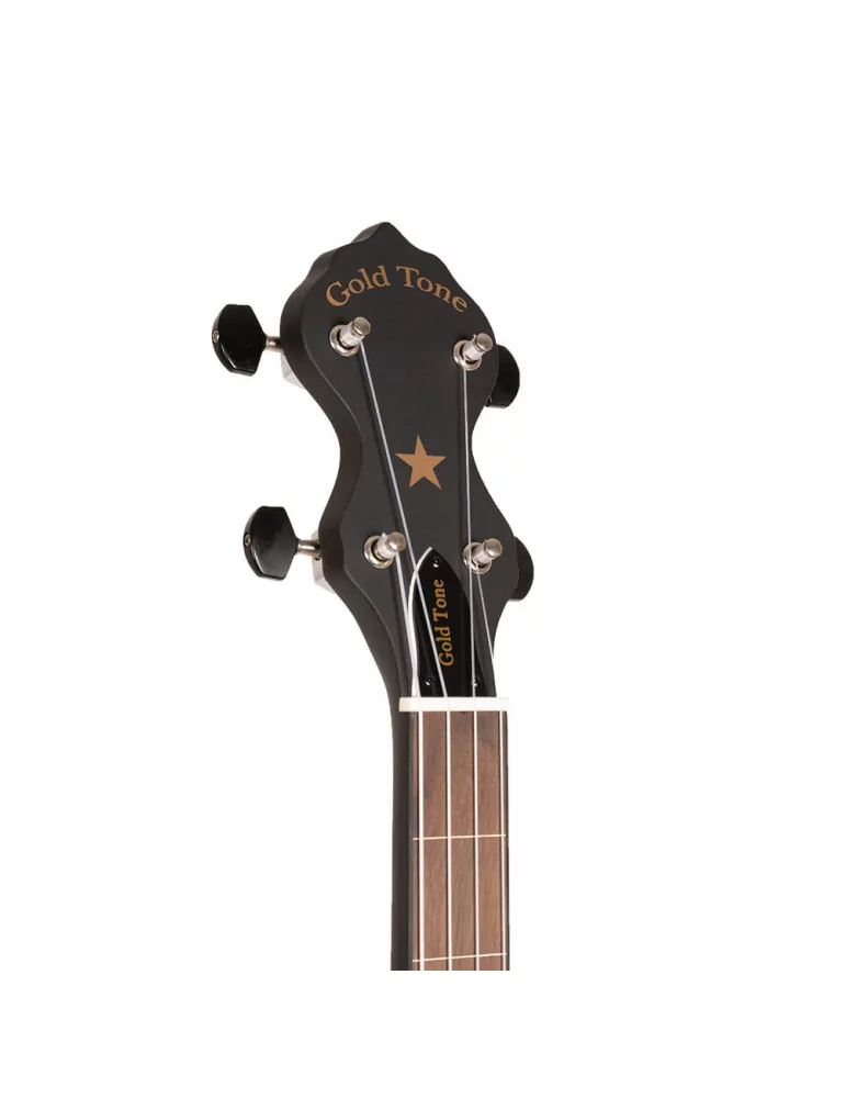 GOLD TONE AC-1FL | MusicGoodDeal