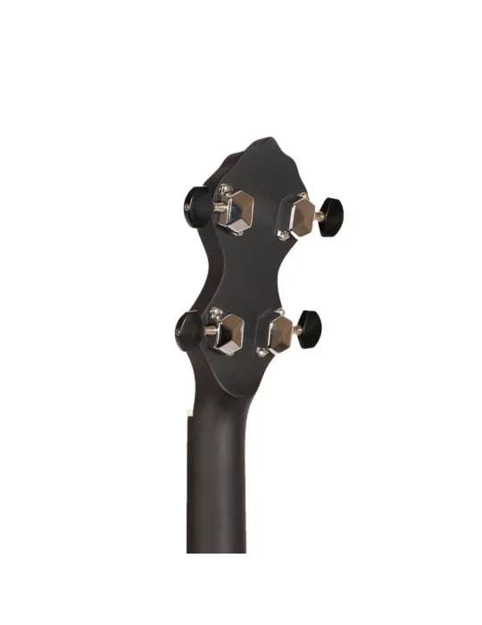 GOLD TONE AC-1FL | MusicGoodDeal