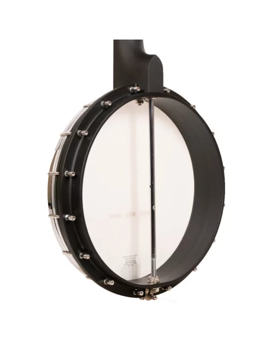 GOLD TONE AC-1FL | MusicGoodDeal
