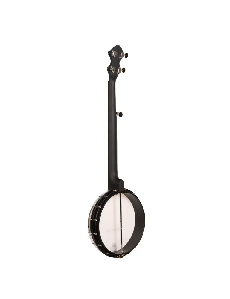 GOLD TONE AC-1FL | MusicGoodDeal