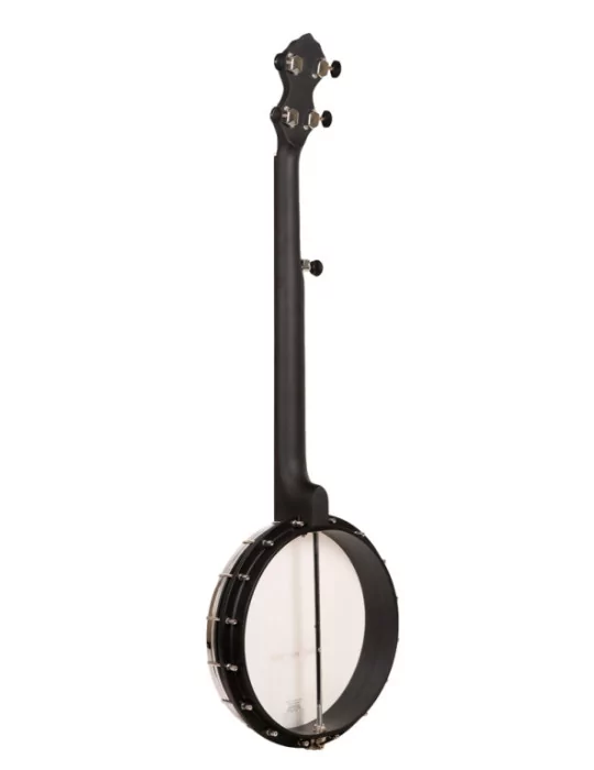 GOLD TONE AC-1FL | MusicGoodDeal