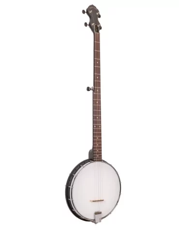 GOLD TONE AC-1LN | MusicGoodDeal