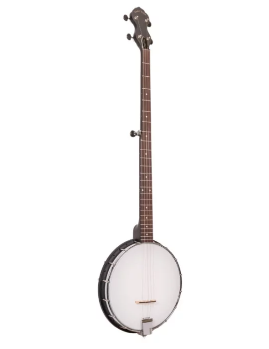 GOLD TONE AC-1LN | MusicGoodDeal