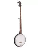 GOLD TONE AC-1LN | MusicGoodDeal