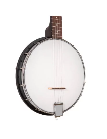 GOLD TONE AC-1LN | MusicGoodDeal 2